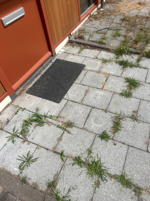 Foto bij klus: Onkruid weghalen kleine voortuintje in Amsterdam