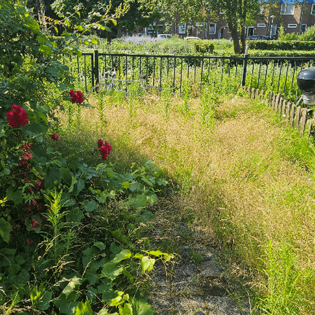 Foto bij klus: Clean Patio in Amsterdam