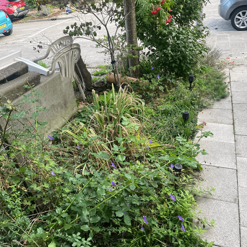 Foto bij klus: Maintain 40 m² planted garden monthly in Rotterdam