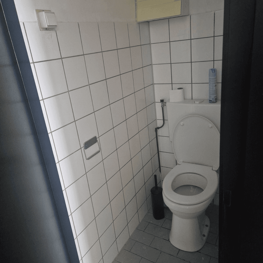 Foto bij klus: Toilet en wastafel vervangen in Barendrecht